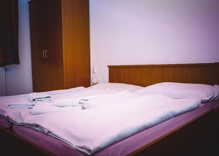 U Hajneho Bedricha Pensión 3*